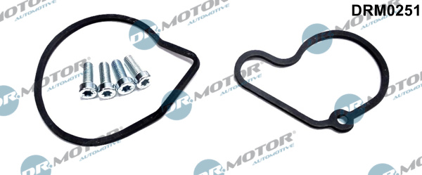 Dr.Motor Automotive Remondikomplekt,vaakumpump(pidurisüsteem) DRM0251