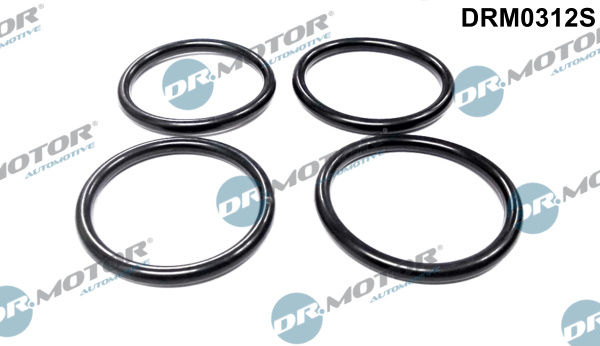 Dr.Motor Automotive Tihendikomplekt,Sisselaskekollektor DRM0312S