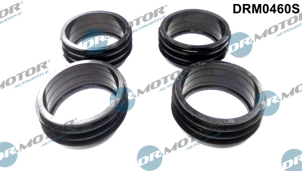 Dr.Motor Automotive tarpiklių rinkinys, įsiurbimo kolektorius DRM0460S