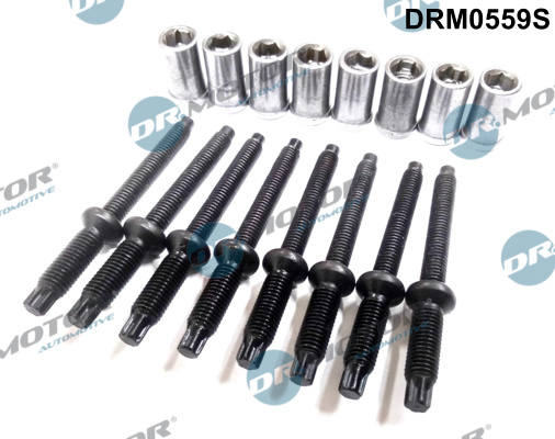 Dr.Motor Automotive Kruvi, sissepritsedüüsi kinnitus DRM0559S