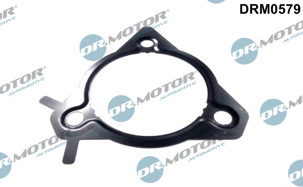Dr.Motor Automotive Tätning, insprutningspump DRM0579