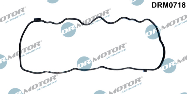 Dr.Motor Automotive Tihend, juhtkorpuse kate DRM0718