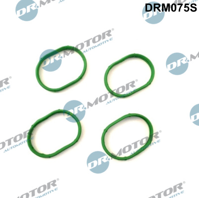 Dr.Motor Automotive tarpiklis, įsiurbimo kolektorius DRM075S