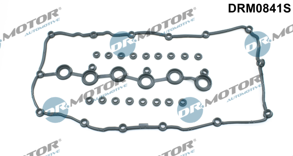 Dr.Motor Automotive tarpiklių komplektas, svirties gaubtas DRM0841S