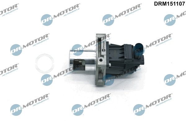 Dr.Motor Automotive ERG vožtuvas DRM151107