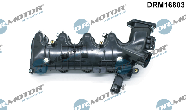 Dr.Motor Automotive Sisselaske kollektori moodul DRM16803