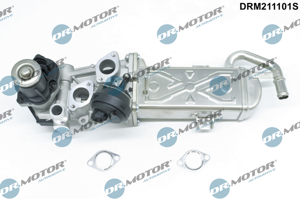 Dr.Motor Automotive ERG vožtuvas DRM211101S