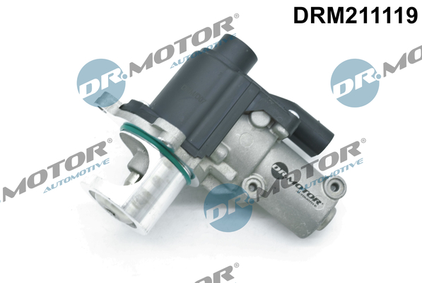 Dr.Motor Automotive ERG vožtuvas DRM211119