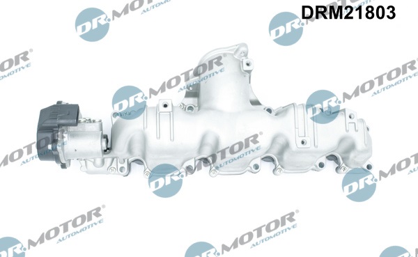 Dr.Motor Automotive įsiurbimo kolektoriaus modulis DRM21803