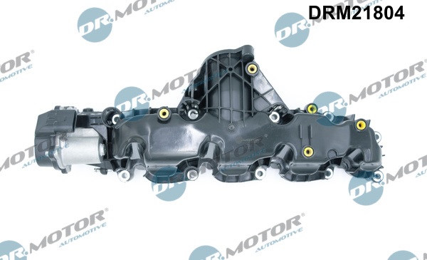 Dr.Motor Automotive įsiurbimo kolektoriaus modulis DRM21804