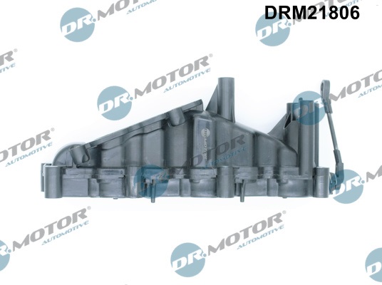Dr.Motor Automotive įsiurbimo kolektoriaus modulis DRM21806
