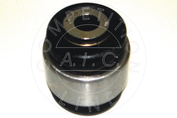AIC Puks, õõtshoob 51559