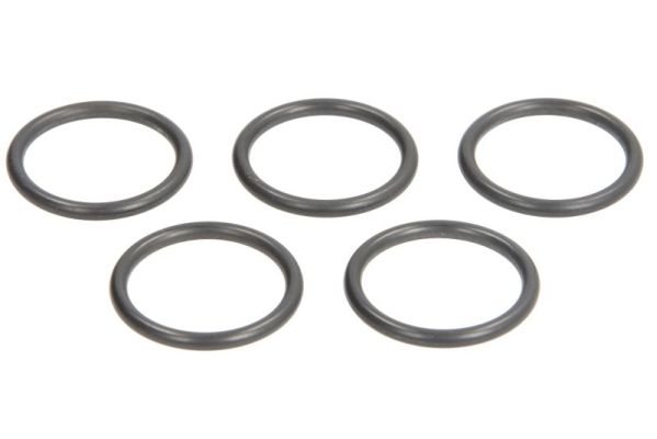 ENGITECH O-ring, instrutning ENT250132