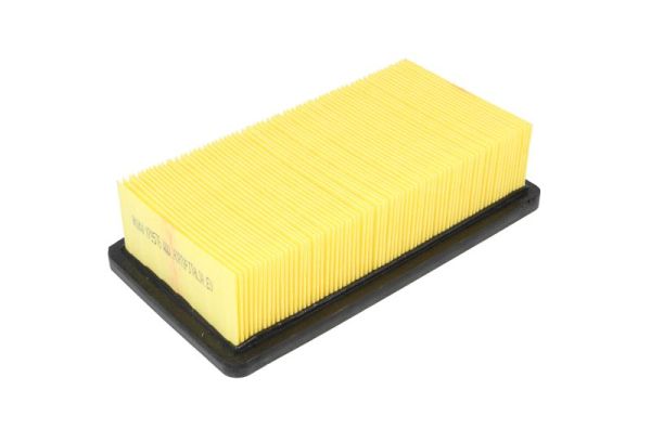 PURRO Filter,salongiõhk PUR-HC0272