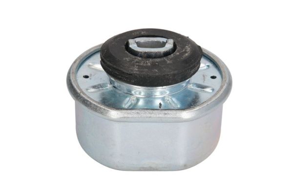 REINHOCH variklio montavimas RH11-0029
