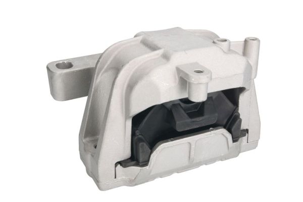 REINHOCH variklio montavimas RH11-0033