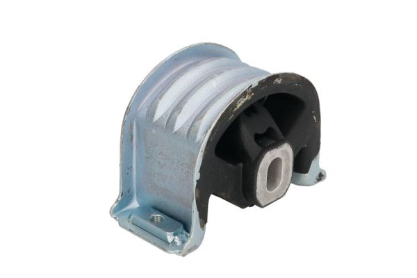 REINHOCH variklio montavimas RH11-0044