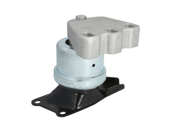 REINHOCH variklio montavimas RH11-0058
