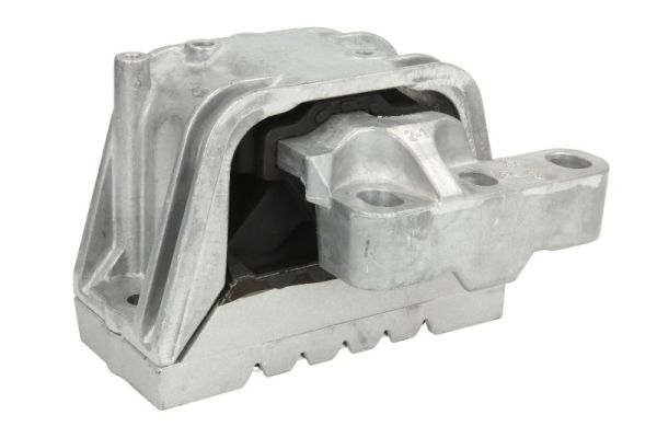 REINHOCH variklio montavimas RH11-0068