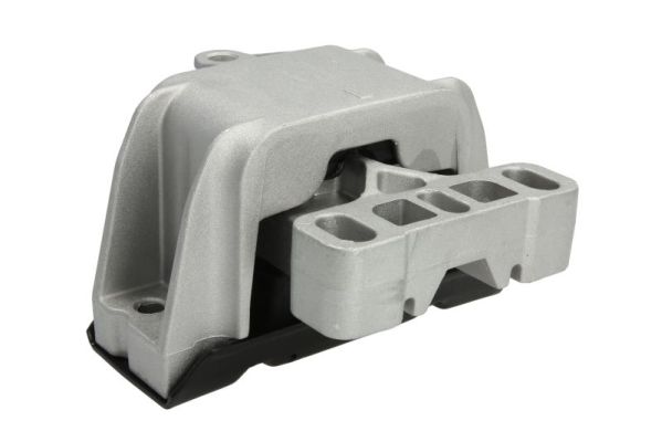 REINHOCH variklio montavimas RH11-0114