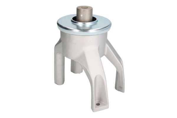 REINHOCH variklio montavimas RH11-0126
