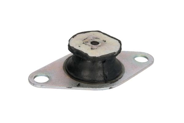 REINHOCH Mootoripadi RH11-1007