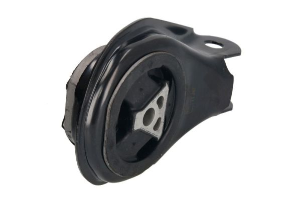 REINHOCH Kinnitus,automaatkäigukast RH11-4000