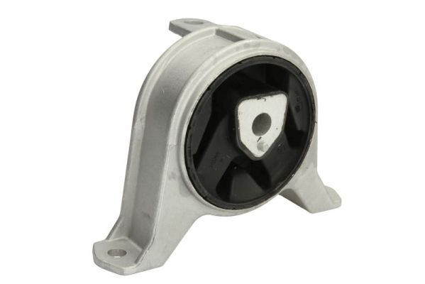 REINHOCH Mootoripadi RH11-5013