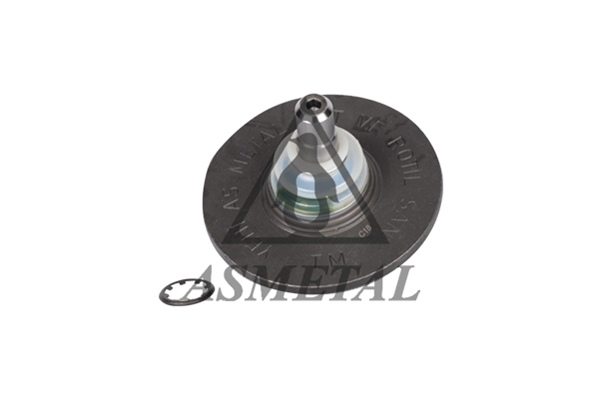 ASMETAL Šarniir 10RN1110