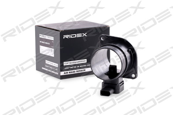 RIDEX oro masės jutiklis 3926A0316