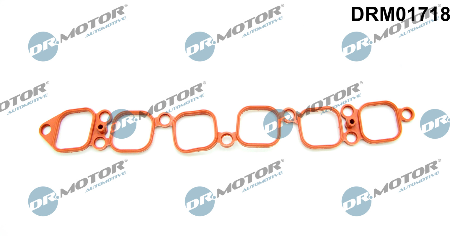 Dr.Motor Automotive tarpiklis, įsiurbimo kolektorius DRM01718