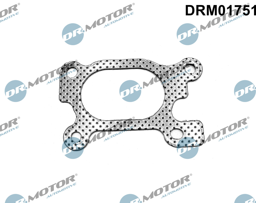 Dr.Motor Automotive Tiiviste, pakosarja DRM01751