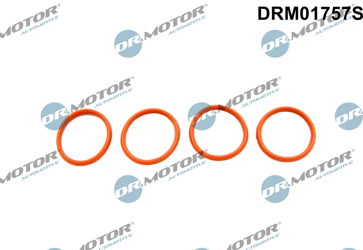 Dr.Motor Automotive Tihendikomplekt,Sisselaskekollektor DRM01757S