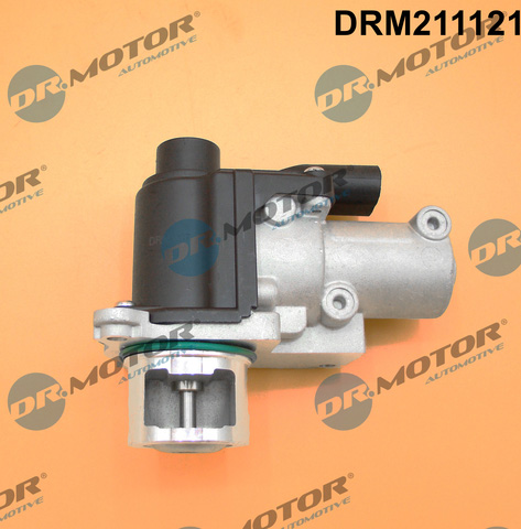 Dr.Motor Automotive ERG vožtuvas DRM211121