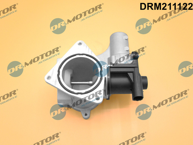 Dr.Motor Automotive ERG vožtuvas DRM211122