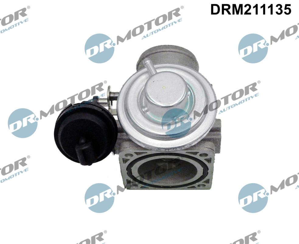 Dr.Motor Automotive ERG vožtuvas DRM211135