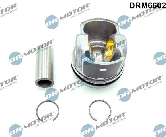 Dr.Motor Automotive Delmotor DRM6602