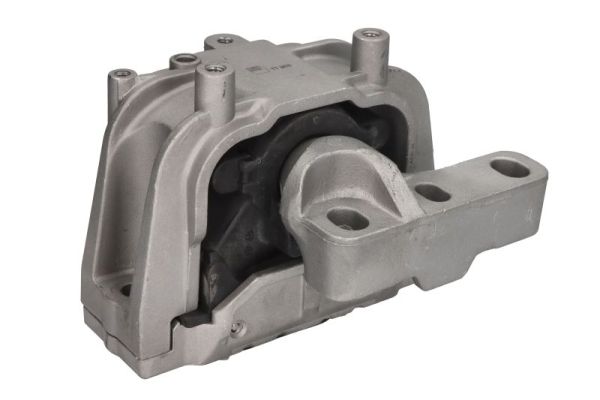 REINHOCH variklio montavimas RH11-0152