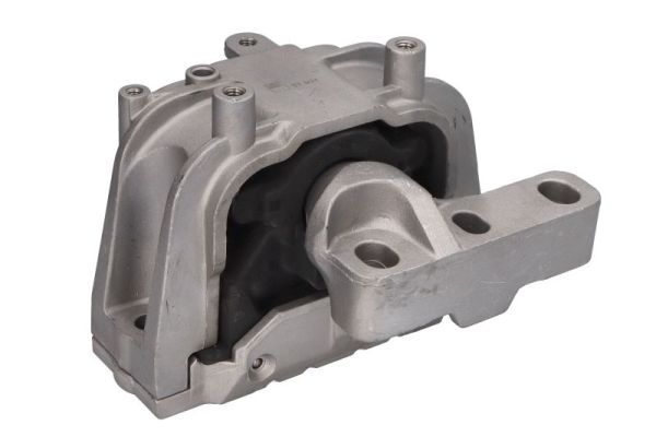 REINHOCH variklio montavimas RH11-0157