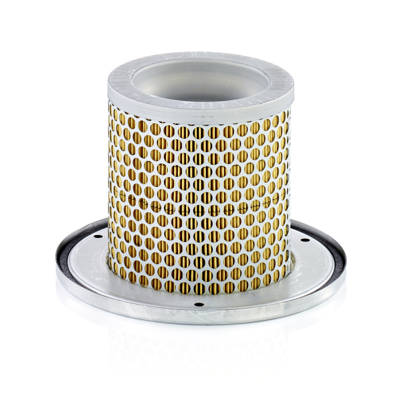 MANN-FILTER Lisa õhufilter C 1342 KIT