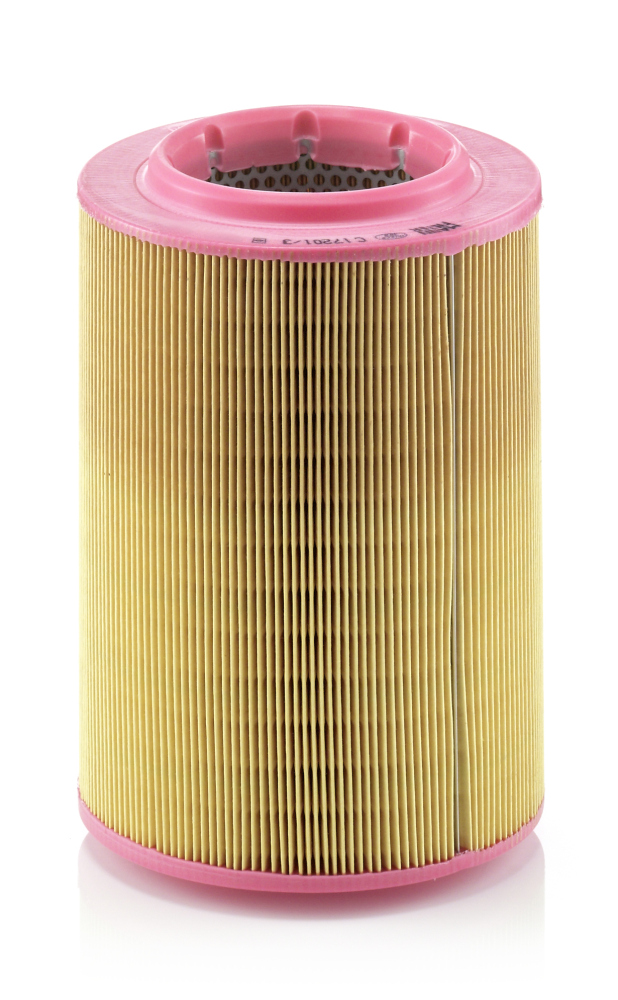 MANN-FILTER oro filtras C 17 201/3