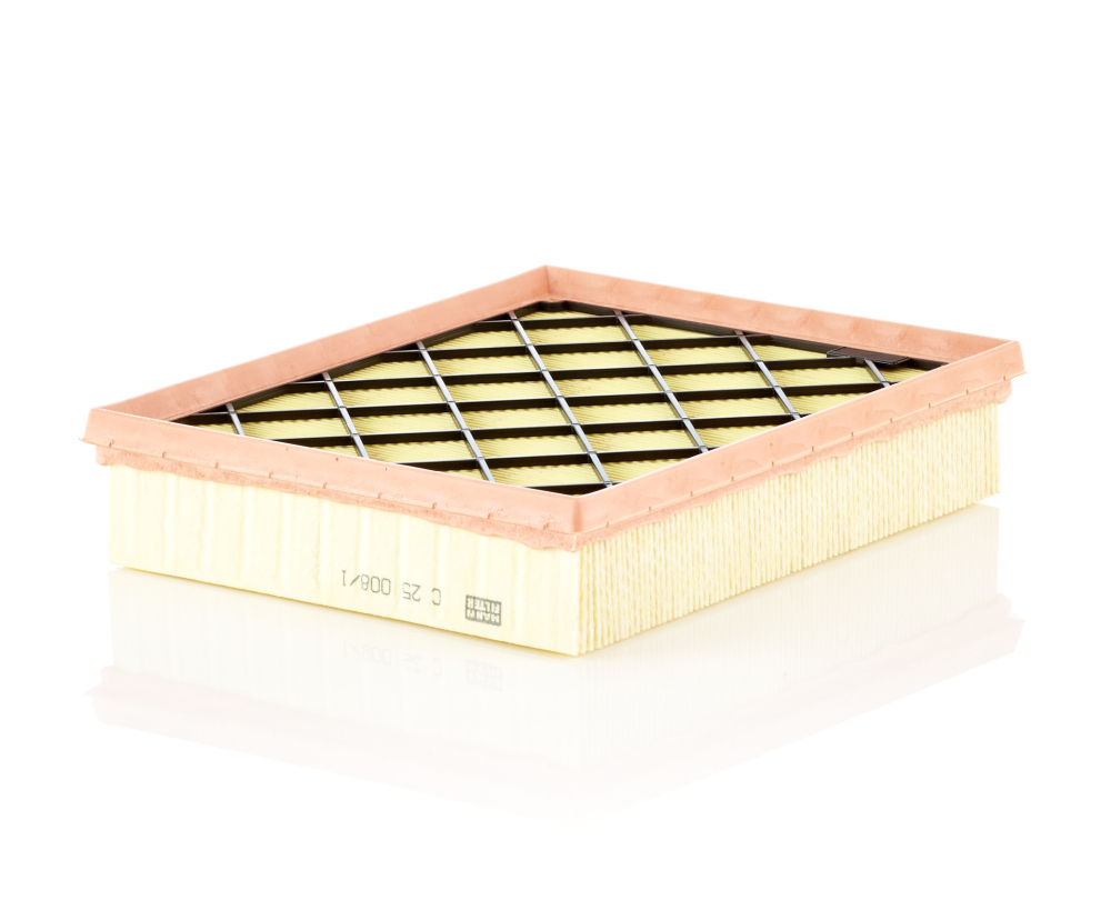 MANN-FILTER Õhufilter C 25 008/1