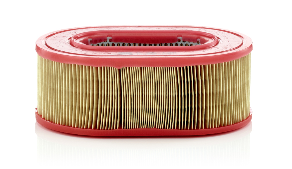 MANN-FILTER Õhufilter C 25 124