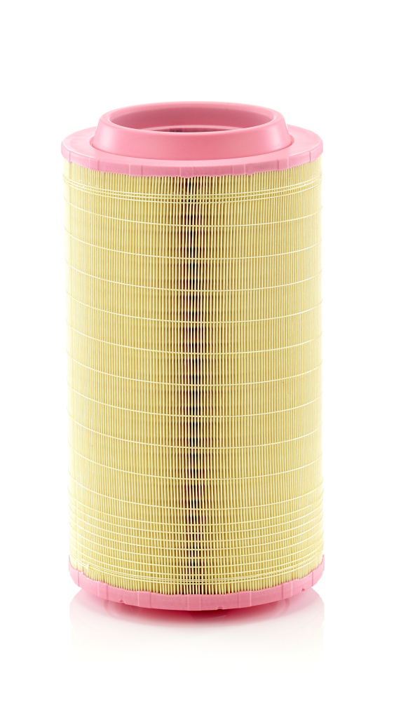 MANN-FILTER Õhufilter C 25 990/1
