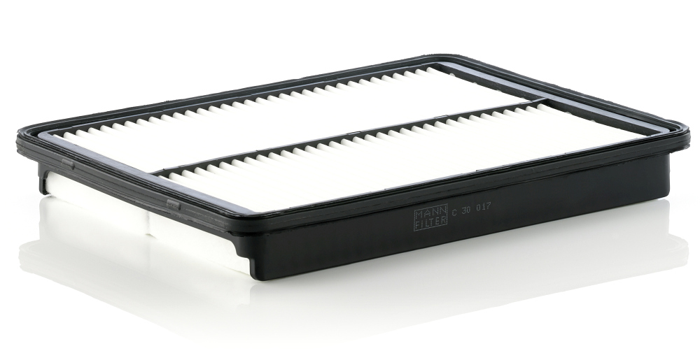 MANN-FILTER Õhufilter C 30 017