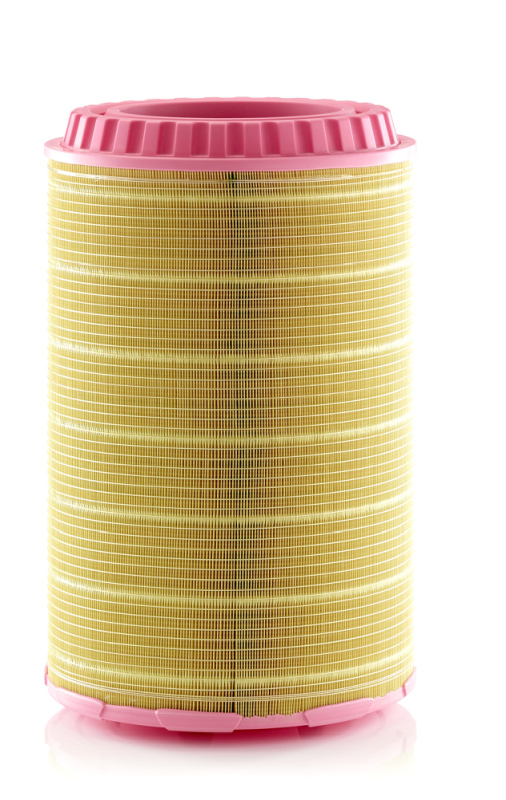 MANN-FILTER Õhufilter C 38 3062