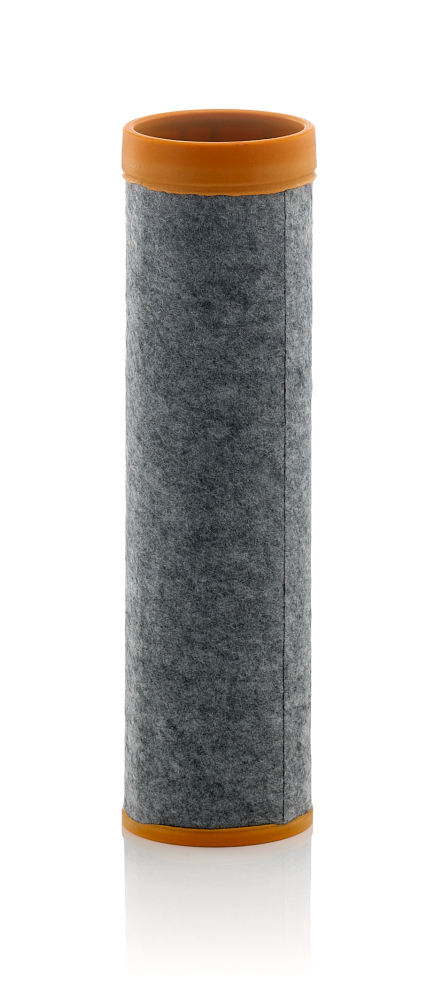 MANN-FILTER Lisa õhufilter CF 10 001