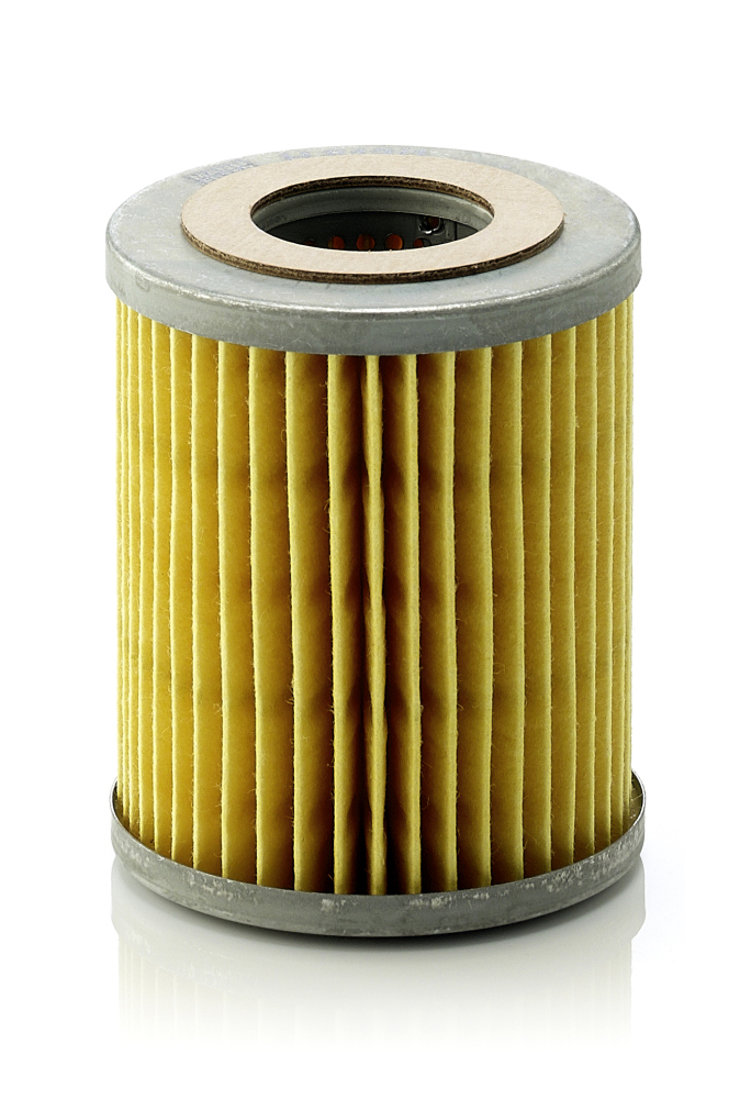 MANN-FILTER Õlifilter H 813/1 x