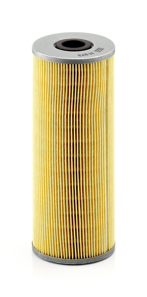 MANN-FILTER Õlifilter H 973 x