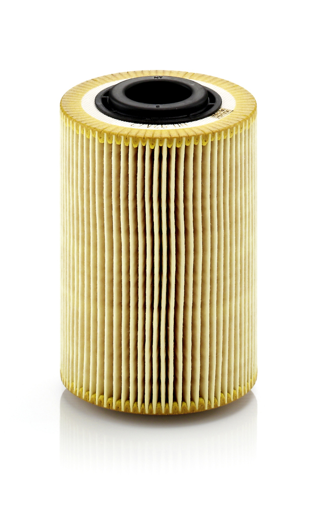 MANN-FILTER Õlifilter HU 924/2 x